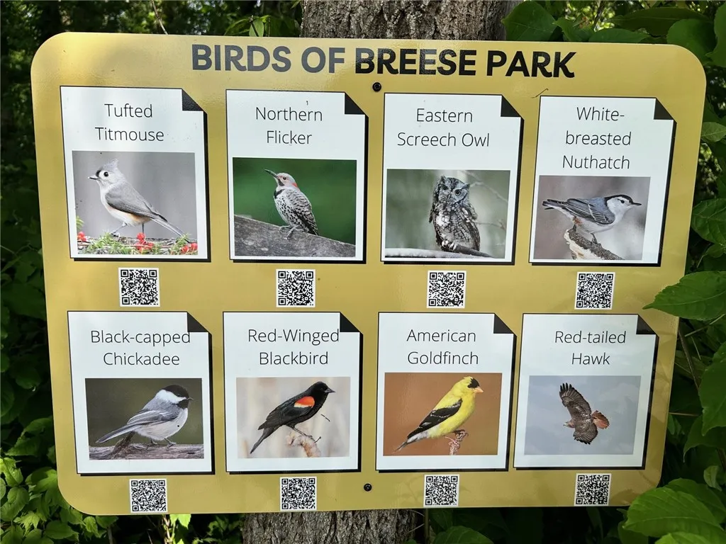 Breese Park