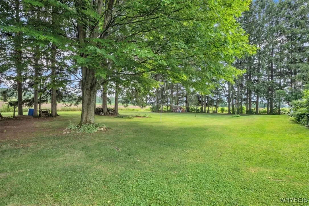 13939 Curriers Road, Sardinia, New York 14030, Sardinia, New York 14030, 4 Bedrooms Bedrooms, 7 Rooms Rooms,1 BathroomBathrooms,Residential,For Sale,13939 Curriers Road, Sardinia, New York 14030,B1622641