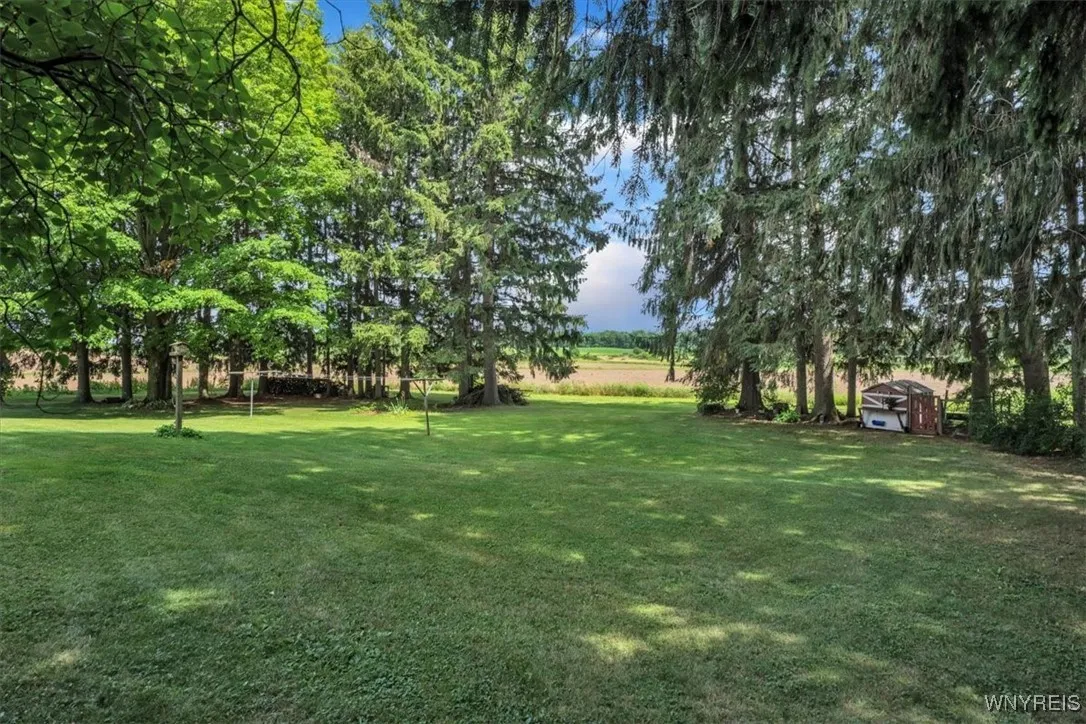 13939 Curriers Road, Sardinia, New York 14030, Sardinia, New York 14030, 4 Bedrooms Bedrooms, 7 Rooms Rooms,1 BathroomBathrooms,Residential,For Sale,13939 Curriers Road, Sardinia, New York 14030,B1622641