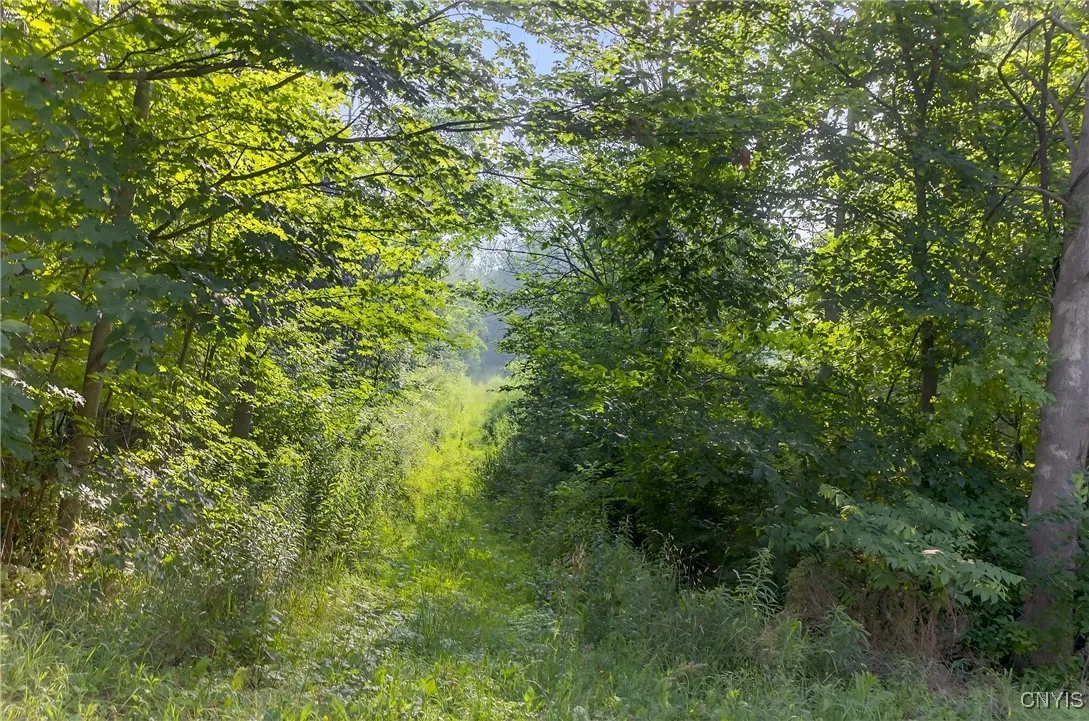 14912 Center Road, Sterling, New York 13156, Sterling, New York 13156, ,Land,For Sale,14912 Center Road, Sterling, New York 13156,S1622577