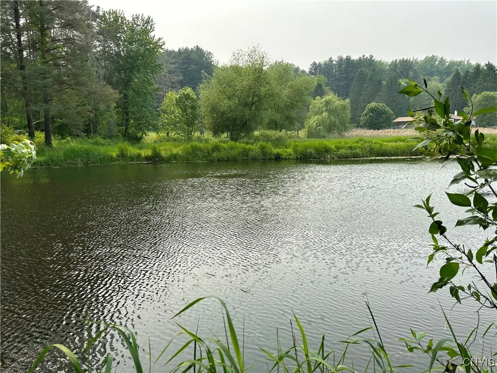 14912 Center Road, Sterling, New York 13156, Sterling, New York 13156, ,Land,For Sale,14912 Center Road, Sterling, New York 13156,S1622577