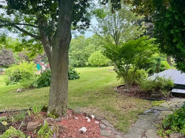 back yard