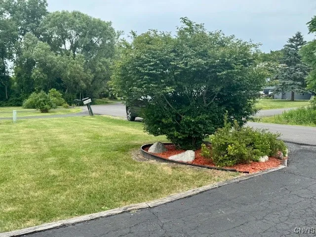 beautiful front yard