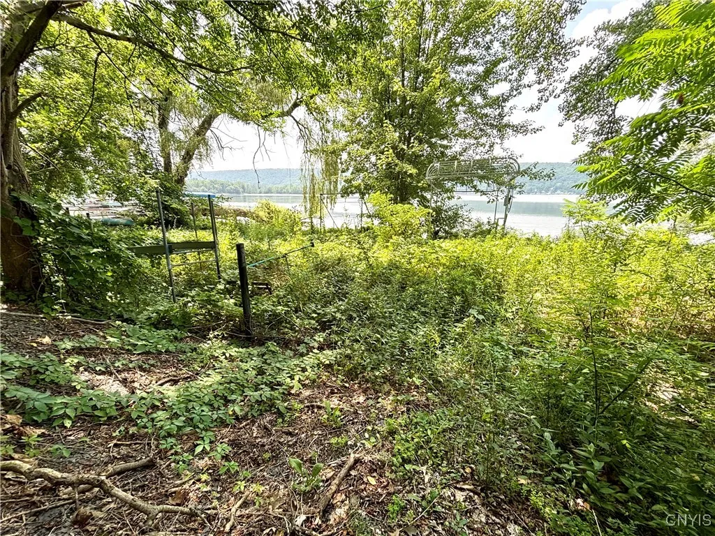 350 Fire Lane 34, Moravia, New York 13118, Moravia, New York 13118, 3 Bedrooms Bedrooms, ,1 BathroomBathrooms,Land,For Sale,350 Fire Lane 34, Moravia, New York 13118,S1618846