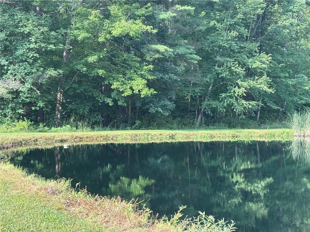 145 Elm Drive, Bainbridge, New York 13733, Bainbridge, New York 13733, 3 Bedrooms Bedrooms, 9 Rooms Rooms,2 BathroomsBathrooms,Residential,For Sale,145 Elm Drive, Bainbridge, New York 13733,R1621190