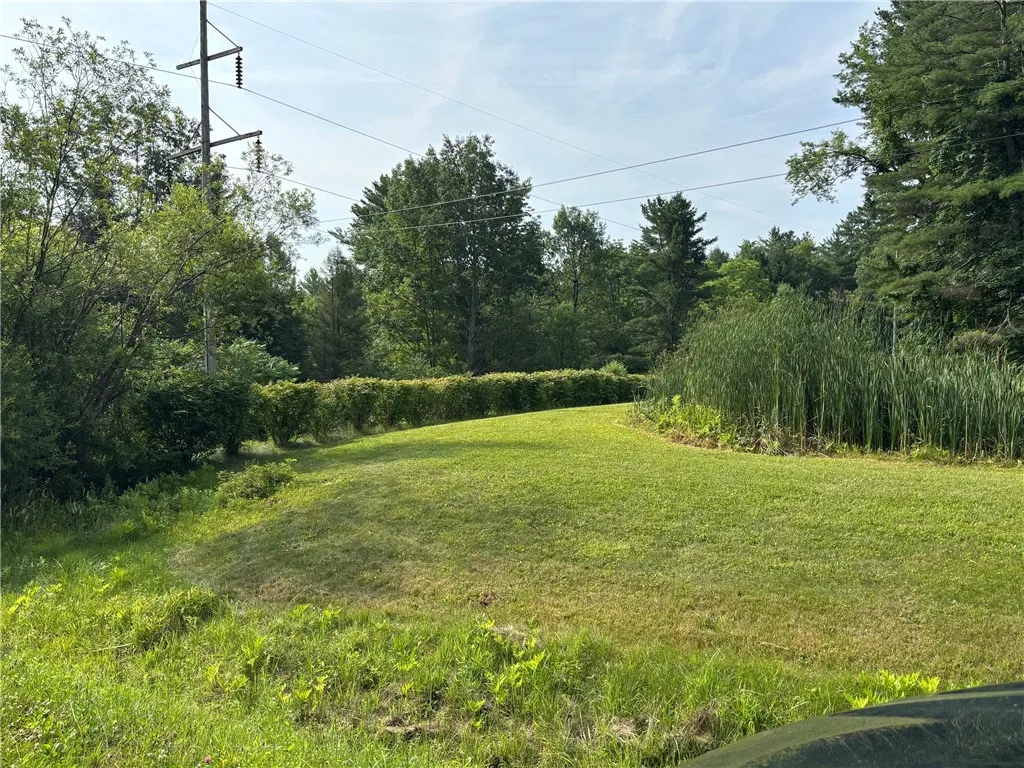 Hedge row of bushes(burning bushes) marks approx boundary on left side of property.