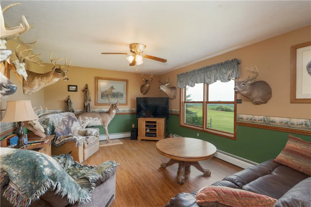 10131 Runyon Road, Ossian, New York 14437, Ossian, New York 14437, 3 Bedrooms Bedrooms, 7 Rooms Rooms,1 BathroomBathrooms,Residential,For Sale,10131 Runyon Road, Ossian, New York 14437,R1618269