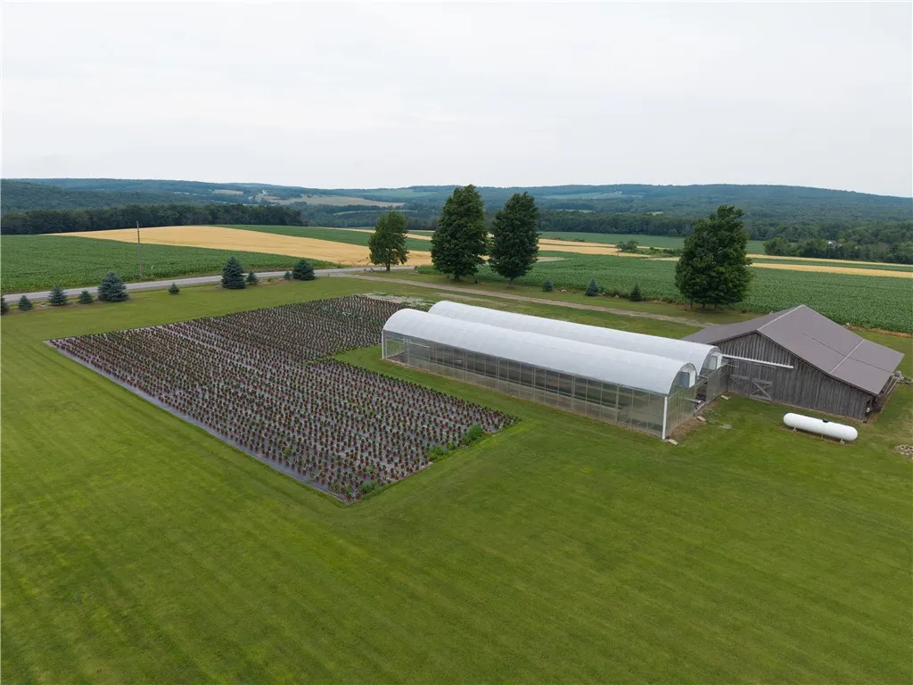 10131 Runyon Road, Ossian, New York 14437, Ossian, New York 14437, 3 Bedrooms Bedrooms, 7 Rooms Rooms,1 BathroomBathrooms,Residential,For Sale,10131 Runyon Road, Ossian, New York 14437,R1618269