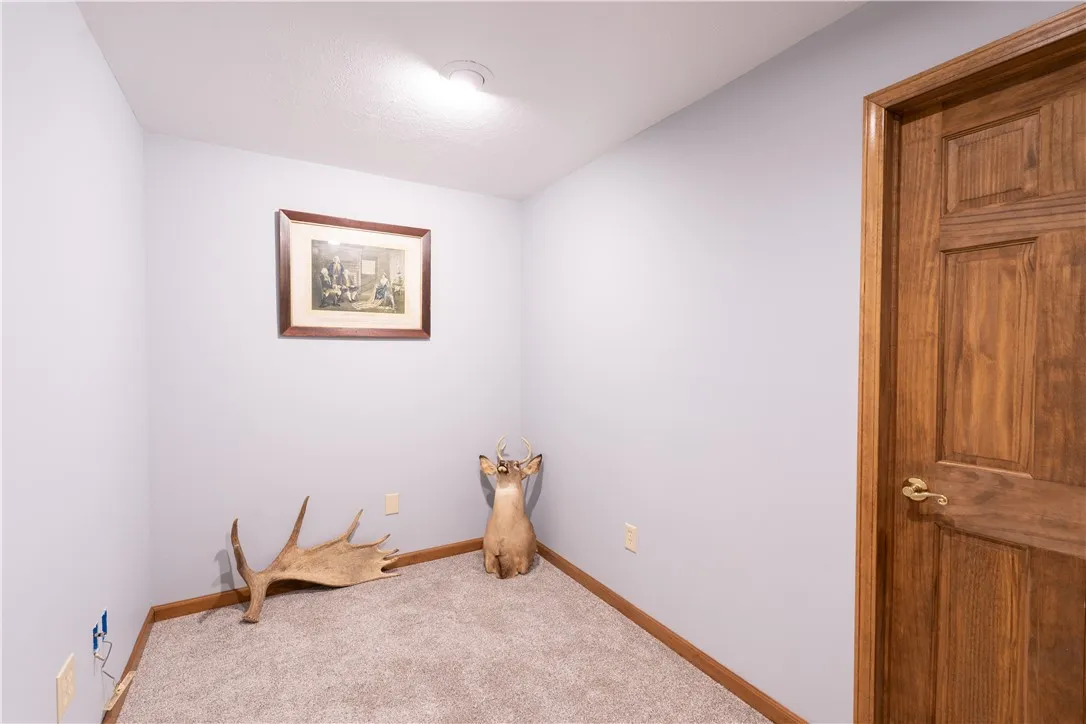 Partially finished basement