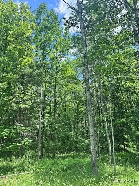 8546 Seneca Way, Caneadea, New York 14717, Caneadea, New York 14717, 1 Bedroom Bedrooms, ,Land,For Sale,8546 Seneca Way, Caneadea, New York 14717,B1622865