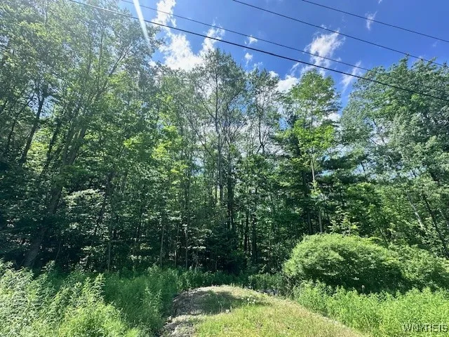 8546 Seneca Way, Caneadea, New York 14717, Caneadea, New York 14717, 1 Bedroom Bedrooms, ,Land,For Sale,8546 Seneca Way, Caneadea, New York 14717,B1622865