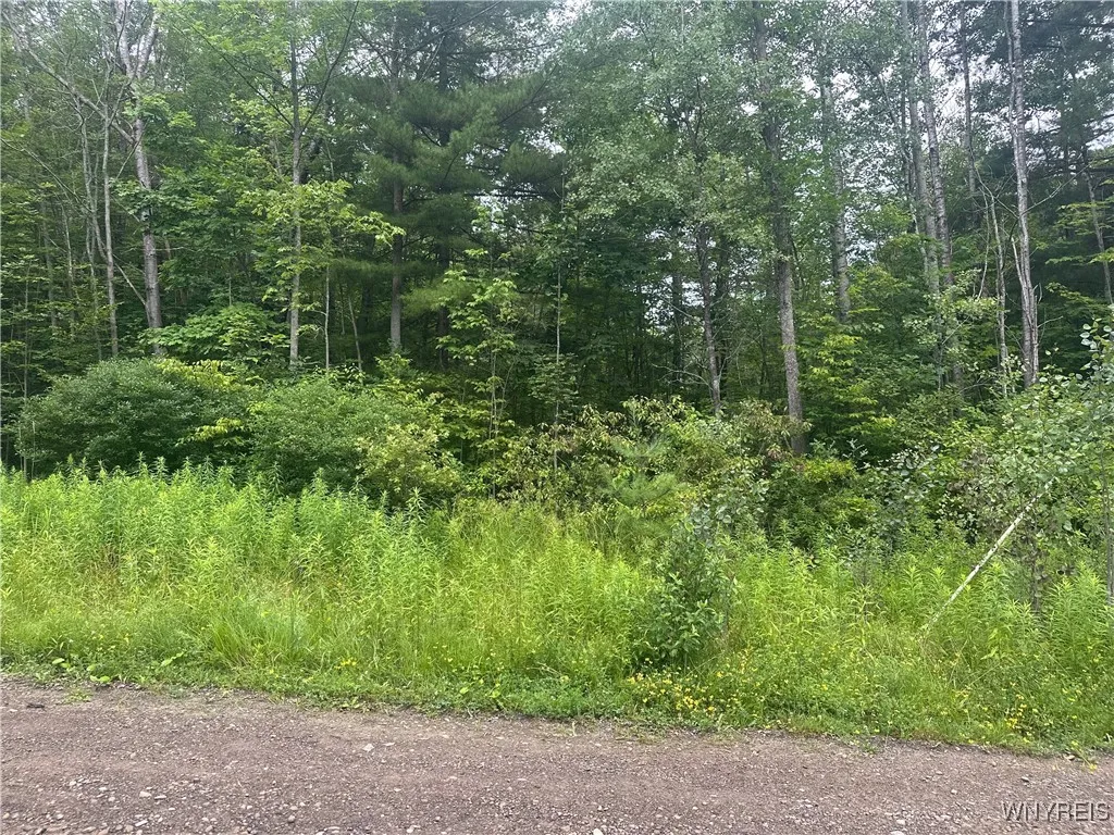 8546 Seneca Way, Caneadea, New York 14717, Caneadea, New York 14717, 1 Bedroom Bedrooms, ,Land,For Sale,8546 Seneca Way, Caneadea, New York 14717,B1622865