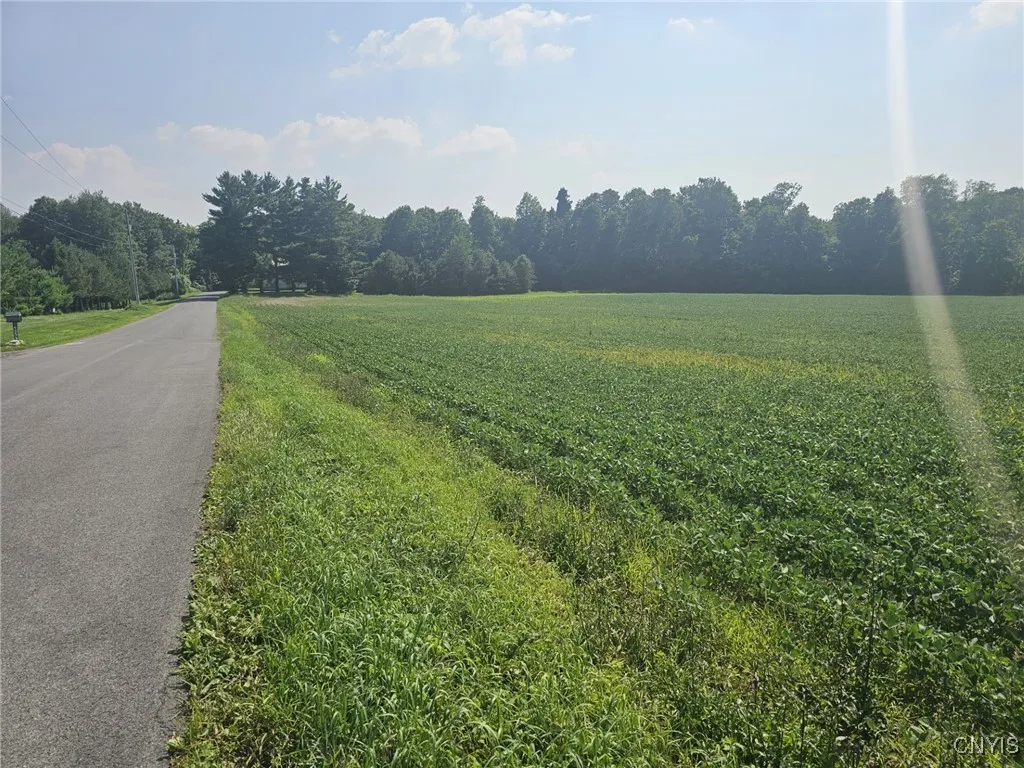 Clinton Road, Brutus, New York 13166, Brutus, New York 13166, ,Land,For Sale,Clinton Road, Brutus, New York 13166,0,S1622869