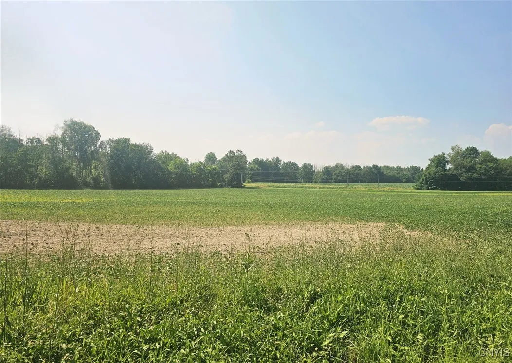 Clinton Road, Brutus, New York 13166, Brutus, New York 13166, ,Land,For Sale,Clinton Road, Brutus, New York 13166,0,S1622869