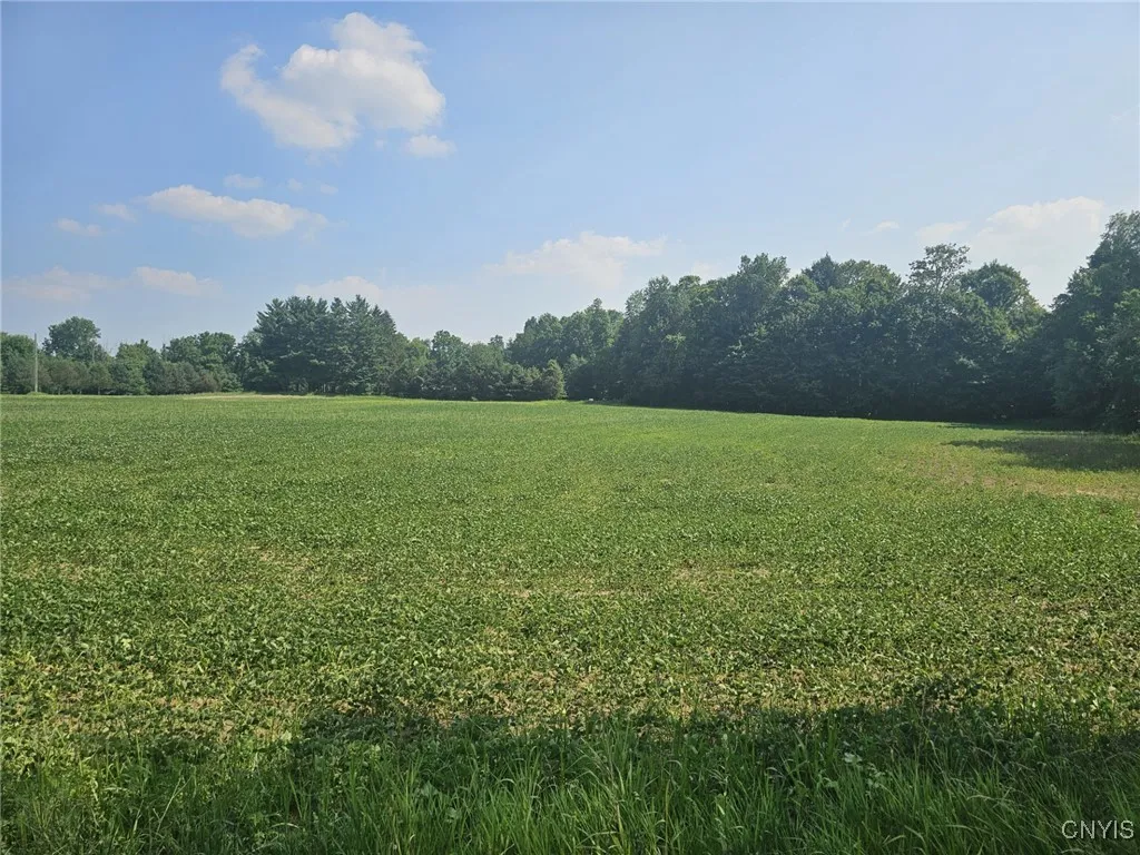 Clinton Road, Brutus, New York 13166, Brutus, New York 13166, ,Land,For Sale,Clinton Road, Brutus, New York 13166,0,S1622869
