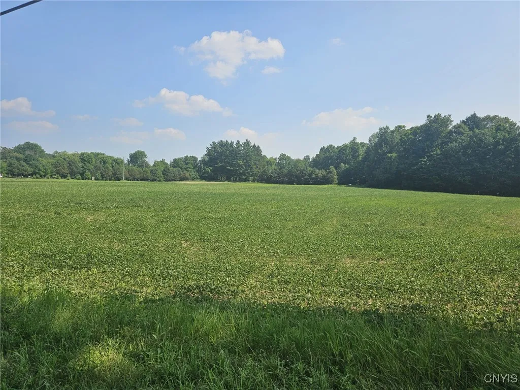 Clinton Road, Brutus, New York 13166, Brutus, New York 13166, ,Land,For Sale,Clinton Road, Brutus, New York 13166,0,S1622869