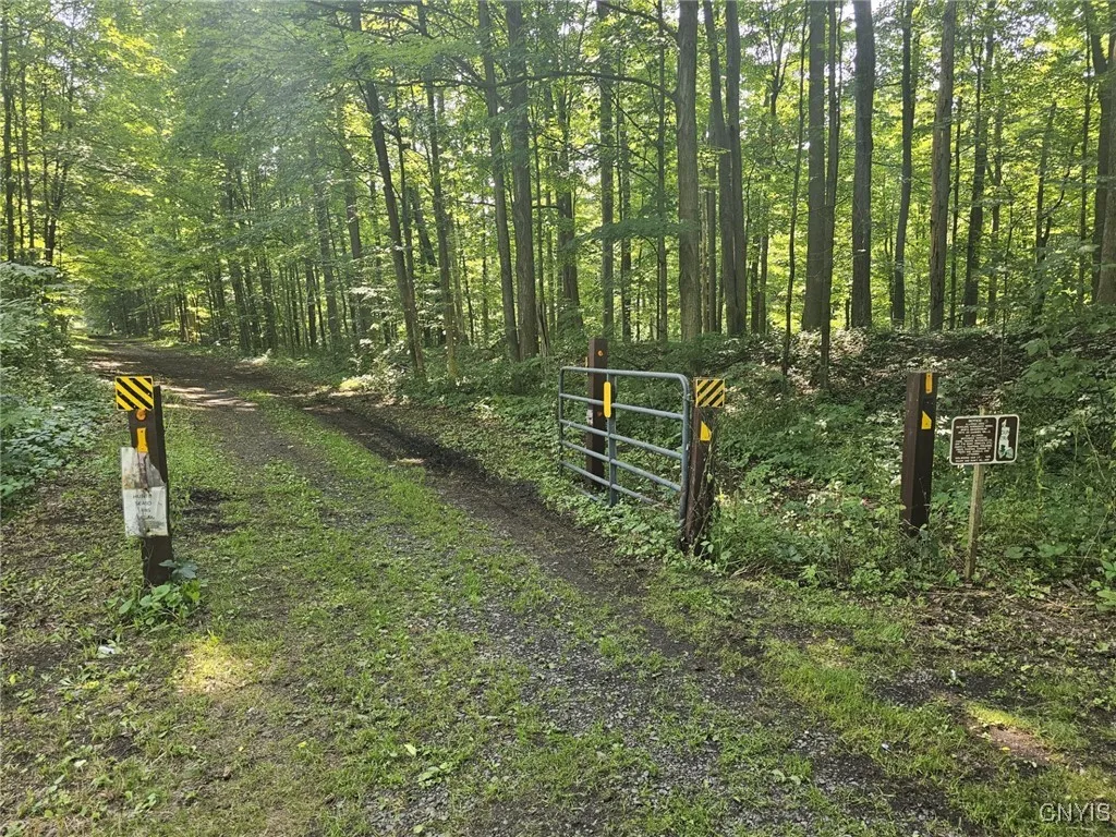 Clinton Road, Brutus, New York 13166, Brutus, New York 13166, ,Land,For Sale,Clinton Road, Brutus, New York 13166,0,S1622869