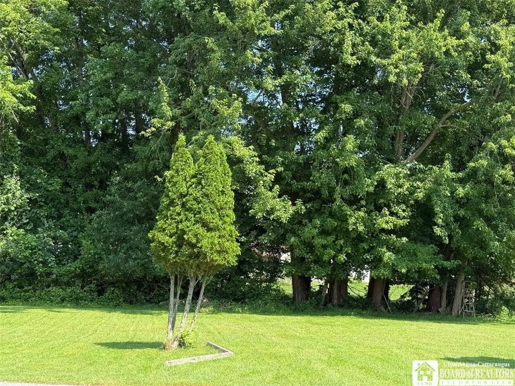 141 Longview Avenue, Ellicott, New York 14701, Ellicott, New York 14701, 1 Bedroom Bedrooms, 4 Rooms Rooms,1 BathroomBathrooms,Residential,For Sale,141 Longview Avenue, Ellicott, New York 14701,R1622194