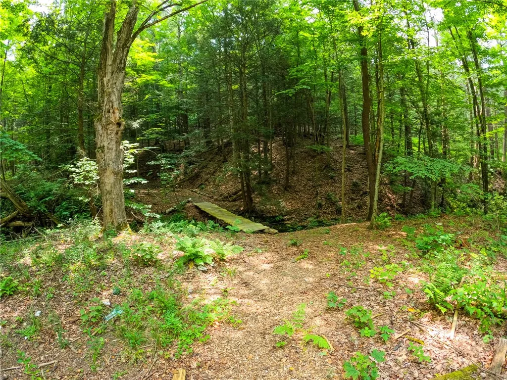 2860 Merriam Road, Ashland, New York 14894, Ashland, New York 14894, ,Land,For Sale,2860 Merriam Road, Ashland, New York 14894,R1622046