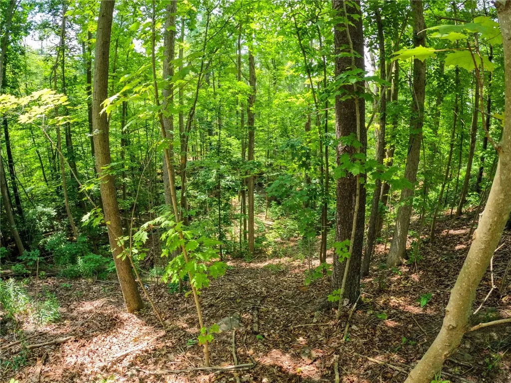 2860 Merriam Road, Ashland, New York 14894, Ashland, New York 14894, ,Land,For Sale,2860 Merriam Road, Ashland, New York 14894,R1622046