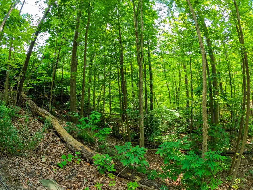 2860 Merriam Road, Ashland, New York 14894, Ashland, New York 14894, ,Land,For Sale,2860 Merriam Road, Ashland, New York 14894,R1622046
