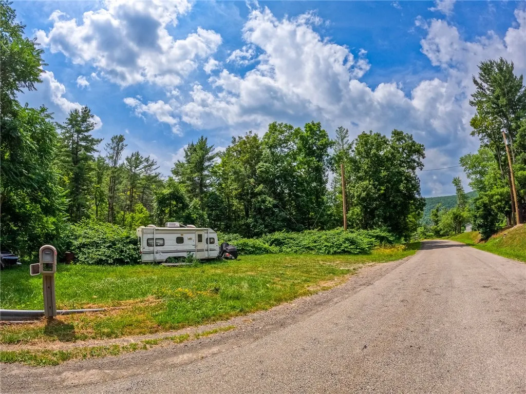 2860 Merriam Road, Ashland, New York 14894, Ashland, New York 14894, ,Land,For Sale,2860 Merriam Road, Ashland, New York 14894,R1622046