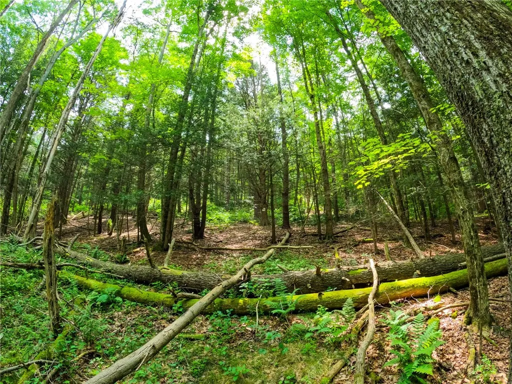 2860 Merriam Road, Ashland, New York 14894, Ashland, New York 14894, ,Land,For Sale,2860 Merriam Road, Ashland, New York 14894,R1622046