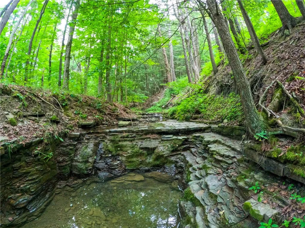 2860 Merriam Road, Ashland, New York 14894, Ashland, New York 14894, ,Land,For Sale,2860 Merriam Road, Ashland, New York 14894,R1622046
