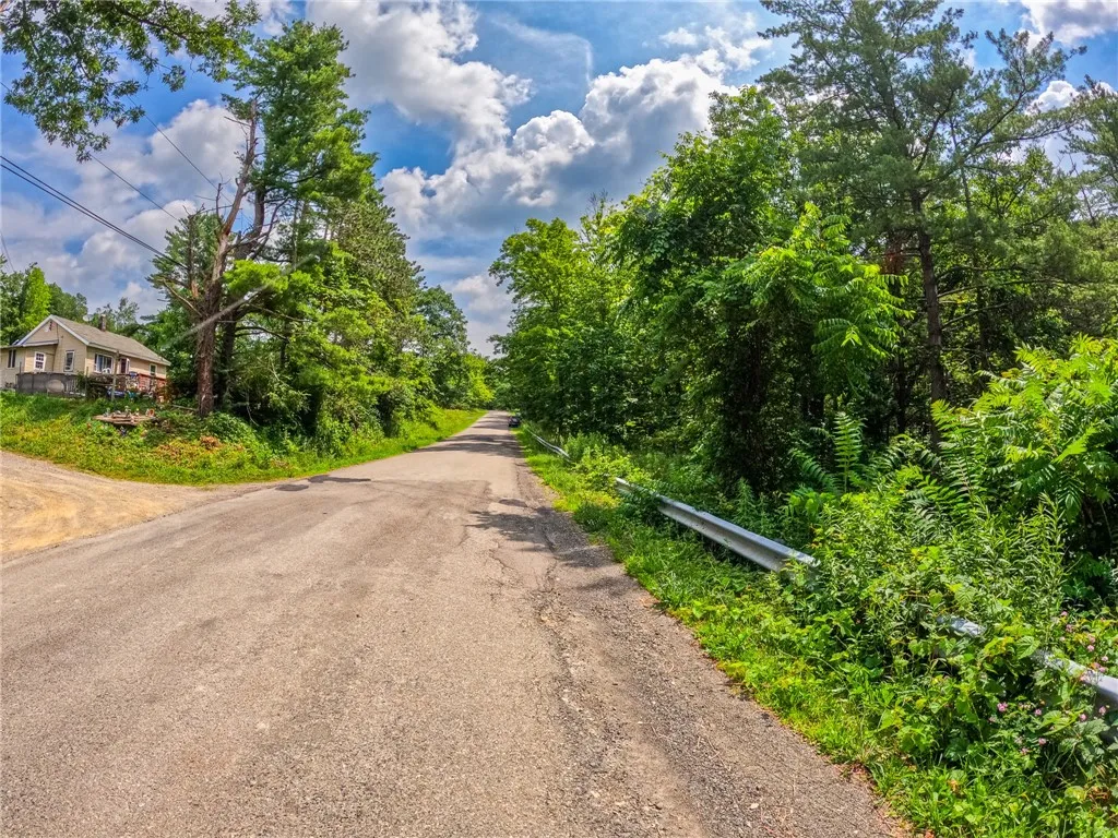 2860 Merriam Road, Ashland, New York 14894, Ashland, New York 14894, ,Land,For Sale,2860 Merriam Road, Ashland, New York 14894,R1622046