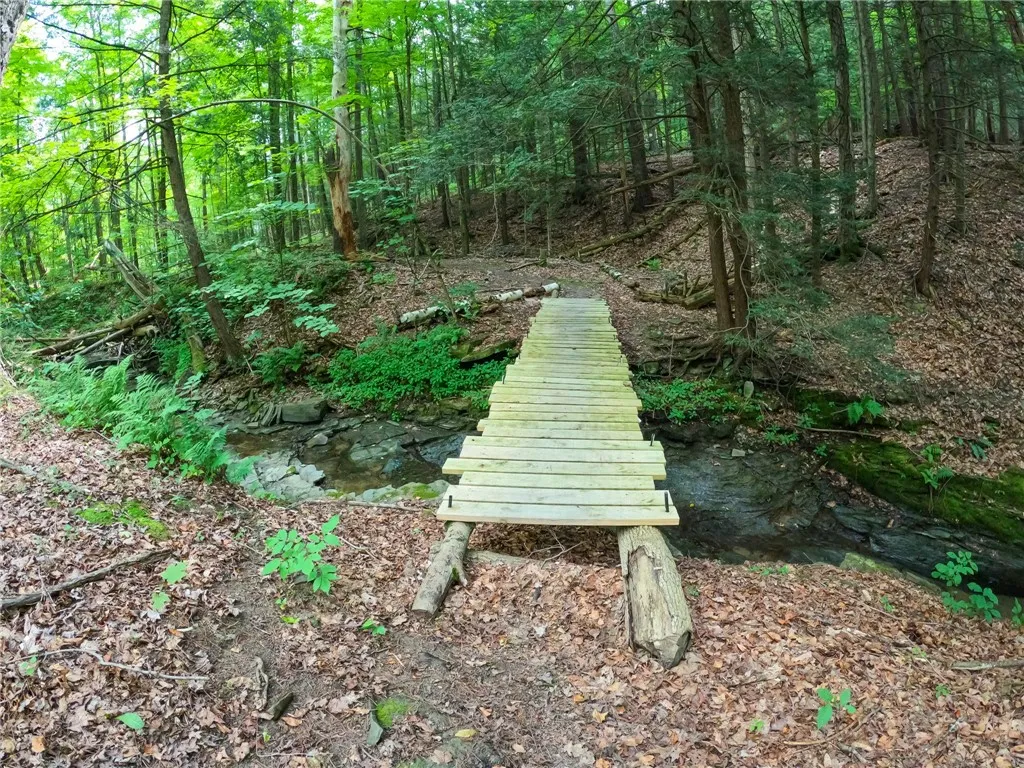 2860 Merriam Road, Ashland, New York 14894, Ashland, New York 14894, ,Land,For Sale,2860 Merriam Road, Ashland, New York 14894,R1622046