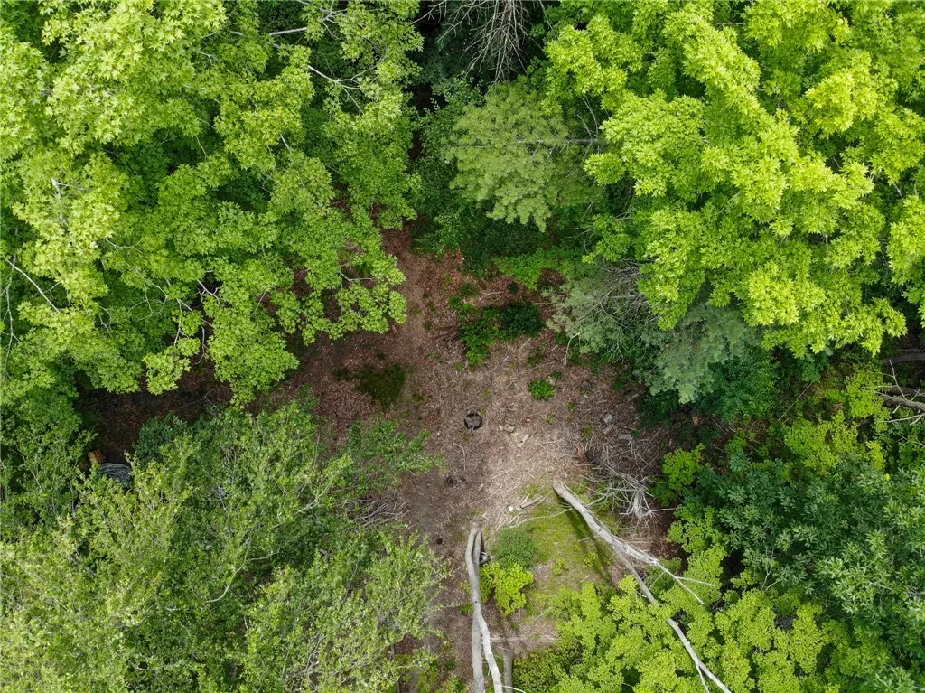 2860 Merriam Road, Ashland, New York 14894, Ashland, New York 14894, ,Land,For Sale,2860 Merriam Road, Ashland, New York 14894,R1622046