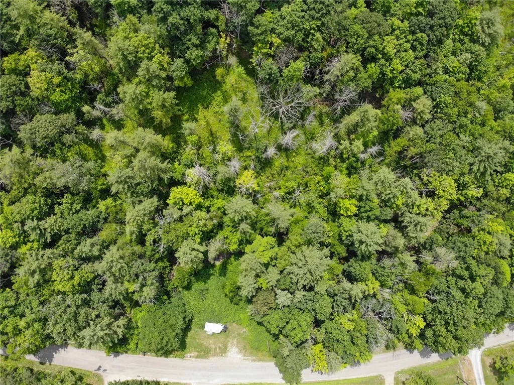 2860 Merriam Road, Ashland, New York 14894, Ashland, New York 14894, ,Land,For Sale,2860 Merriam Road, Ashland, New York 14894,R1622046