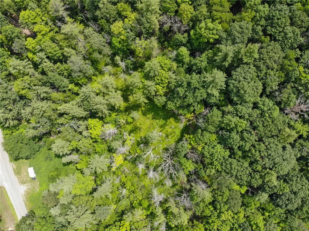 2860 Merriam Road, Ashland, New York 14894, Ashland, New York 14894, ,Land,For Sale,2860 Merriam Road, Ashland, New York 14894,R1622046