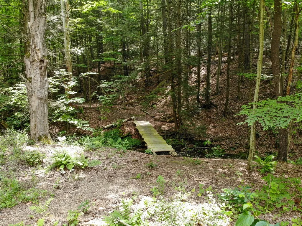 2860 Merriam Road, Ashland, New York 14894, Ashland, New York 14894, ,Land,For Sale,2860 Merriam Road, Ashland, New York 14894,R1622046
