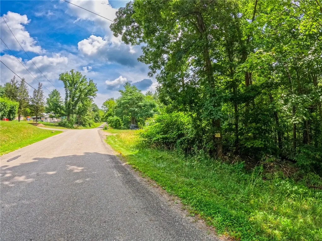 2860 Merriam Road, Ashland, New York 14894, Ashland, New York 14894, ,Land,For Sale,2860 Merriam Road, Ashland, New York 14894,R1622046