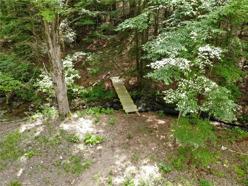 2860 Merriam Road, Ashland, New York 14894, Ashland, New York 14894, ,Land,For Sale,2860 Merriam Road, Ashland, New York 14894,R1622046