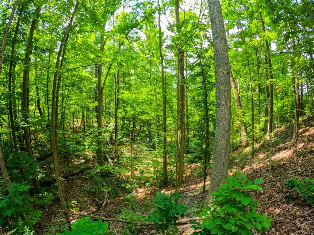 2860 Merriam Road, Ashland, New York 14894, Ashland, New York 14894, ,Land,For Sale,2860 Merriam Road, Ashland, New York 14894,R1622046