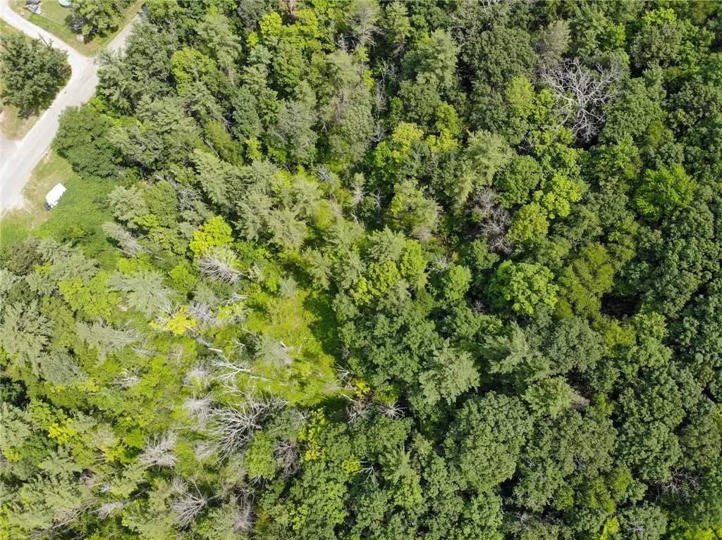 2860 Merriam Road, Ashland, New York 14894, Ashland, New York 14894, ,Land,For Sale,2860 Merriam Road, Ashland, New York 14894,R1622046