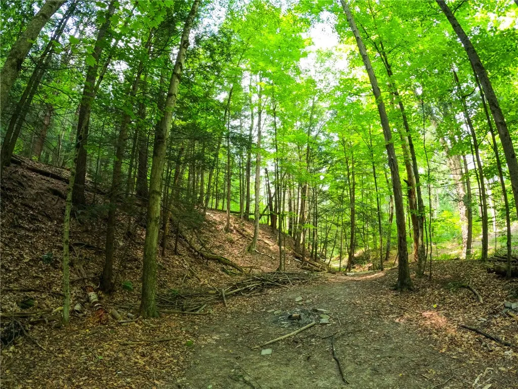 2860 Merriam Road, Ashland, New York 14894, Ashland, New York 14894, ,Land,For Sale,2860 Merriam Road, Ashland, New York 14894,R1622046