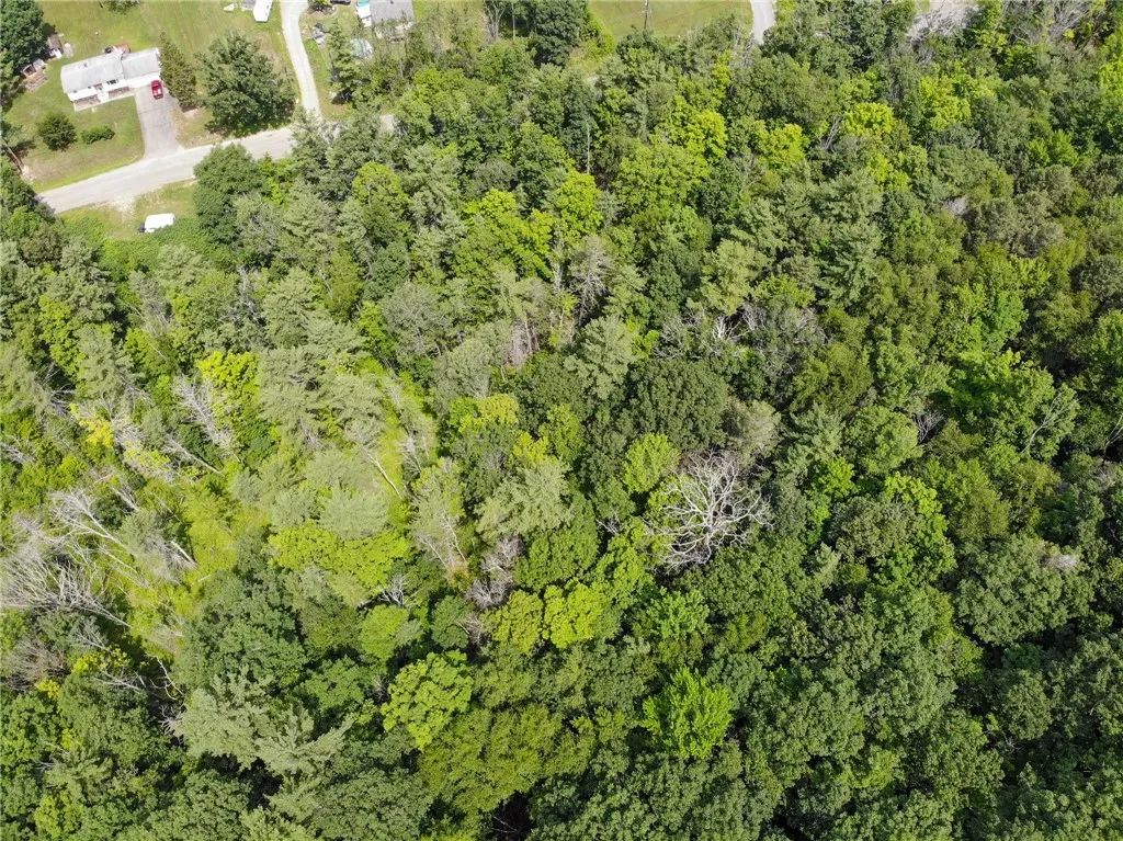 2860 Merriam Road, Ashland, New York 14894, Ashland, New York 14894, ,Land,For Sale,2860 Merriam Road, Ashland, New York 14894,R1622046