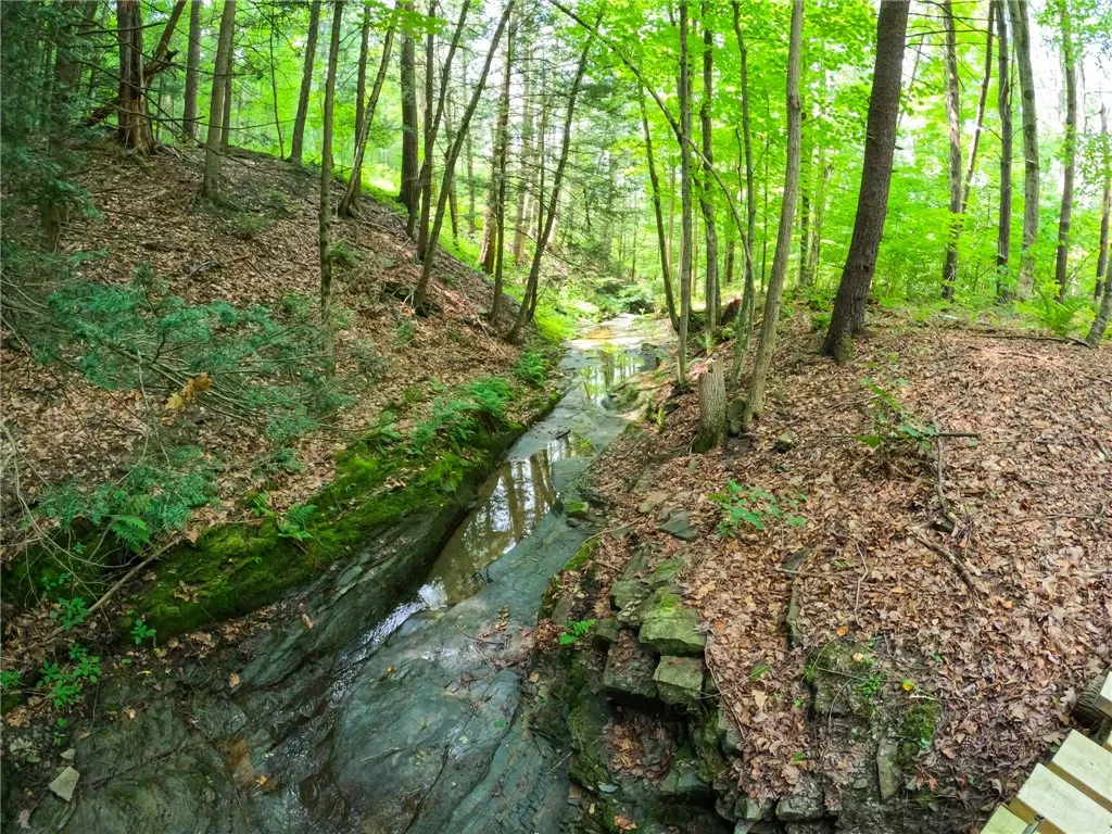 2860 Merriam Road, Ashland, New York 14894, Ashland, New York 14894, ,Land,For Sale,2860 Merriam Road, Ashland, New York 14894,R1622046