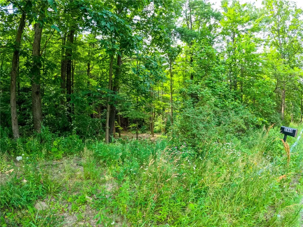 2860 Merriam Road, Ashland, New York 14894, Ashland, New York 14894, ,Land,For Sale,2860 Merriam Road, Ashland, New York 14894,R1622046