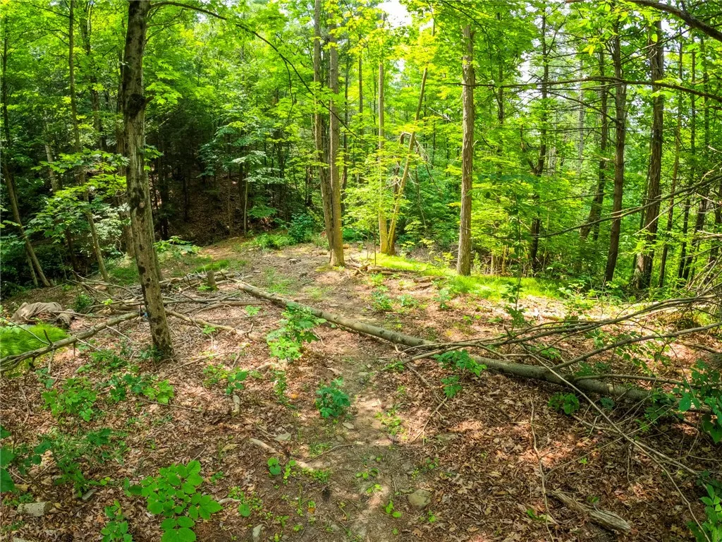 2860 Merriam Road, Ashland, New York 14894, Ashland, New York 14894, ,Land,For Sale,2860 Merriam Road, Ashland, New York 14894,R1622046