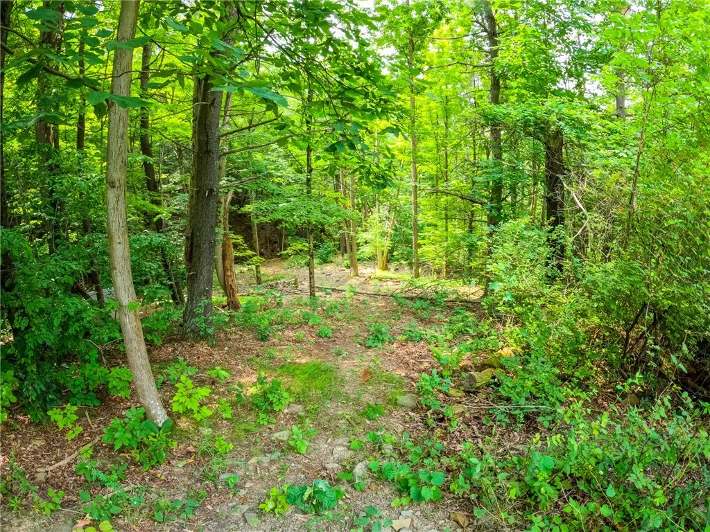2860 Merriam Road, Ashland, New York 14894, Ashland, New York 14894, ,Land,For Sale,2860 Merriam Road, Ashland, New York 14894,R1622046