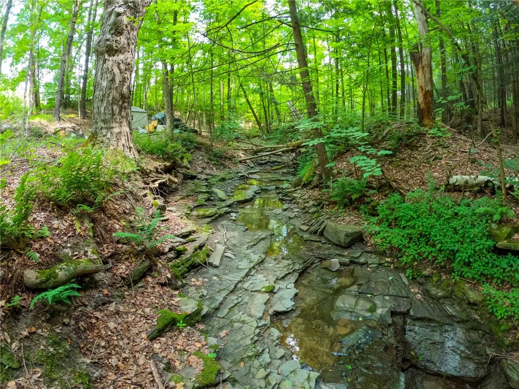 2860 Merriam Road, Ashland, New York 14894, Ashland, New York 14894, ,Land,For Sale,2860 Merriam Road, Ashland, New York 14894,R1622046
