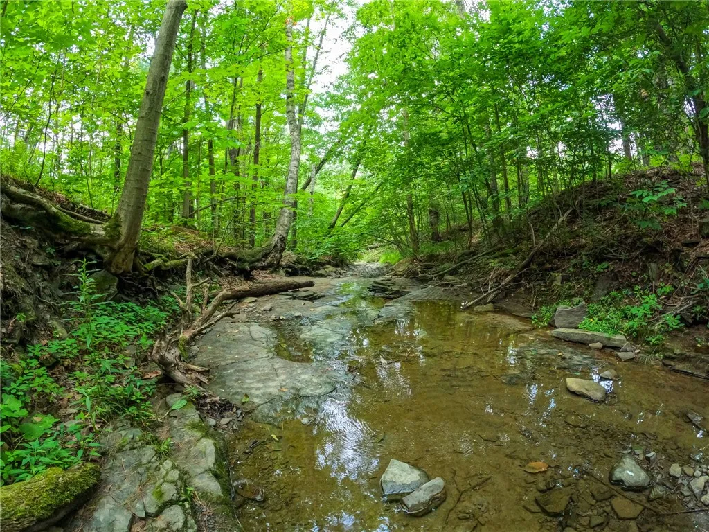 2860 Merriam Road, Ashland, New York 14894, Ashland, New York 14894, ,Land,For Sale,2860 Merriam Road, Ashland, New York 14894,R1622046