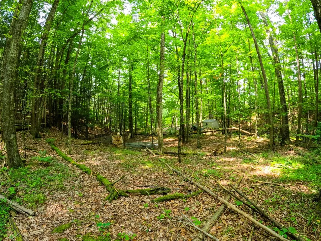 2860 Merriam Road, Ashland, New York 14894, Ashland, New York 14894, ,Land,For Sale,2860 Merriam Road, Ashland, New York 14894,R1622046