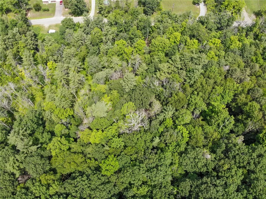 2860 Merriam Road, Ashland, New York 14894, Ashland, New York 14894, ,Land,For Sale,2860 Merriam Road, Ashland, New York 14894,R1622046
