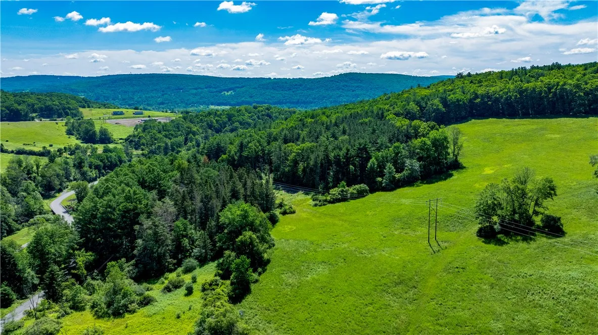 Lower Ravine Road, Norwich, New York 13815, Norwich, New York 13815, ,Land,For Sale,Lower Ravine Road, Norwich, New York 13815,R1622691