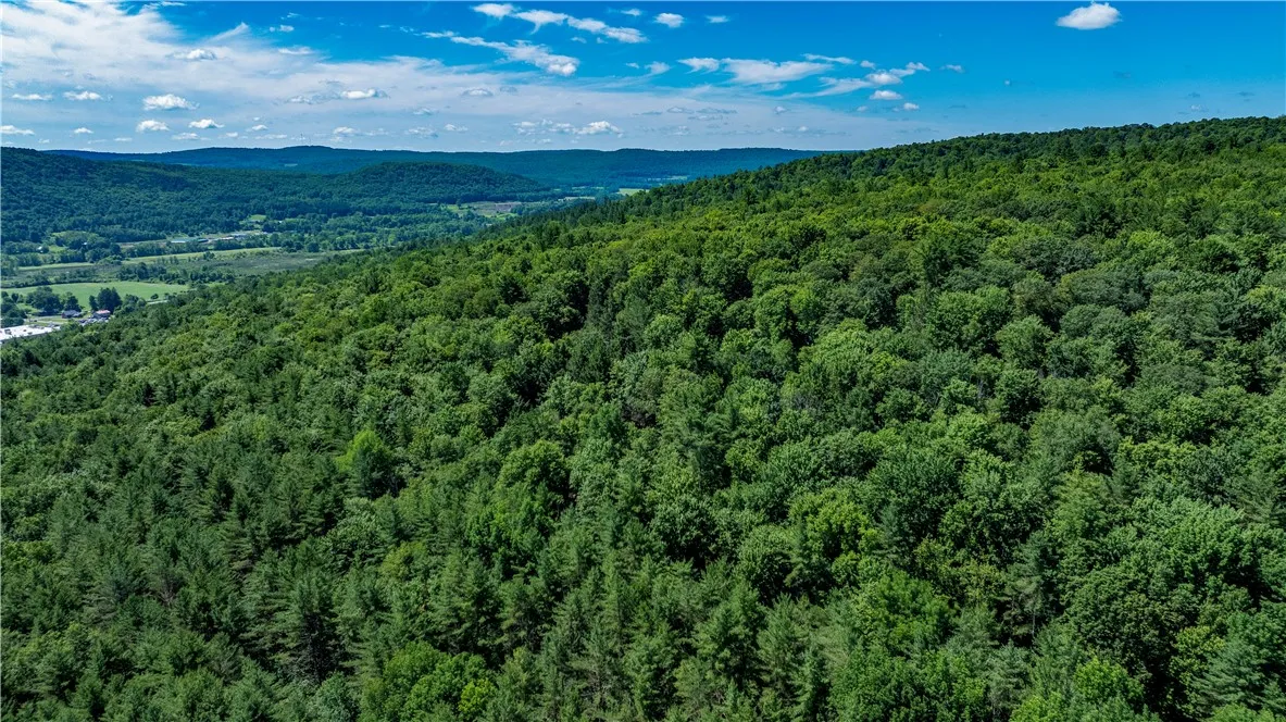 Lower Ravine Road, Norwich, New York 13815, Norwich, New York 13815, ,Land,For Sale,Lower Ravine Road, Norwich, New York 13815,R1622691